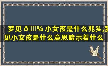 梦见 🌾 小女孩是什么兆头,梦见小女孩是什么意思暗示着什么 🐳